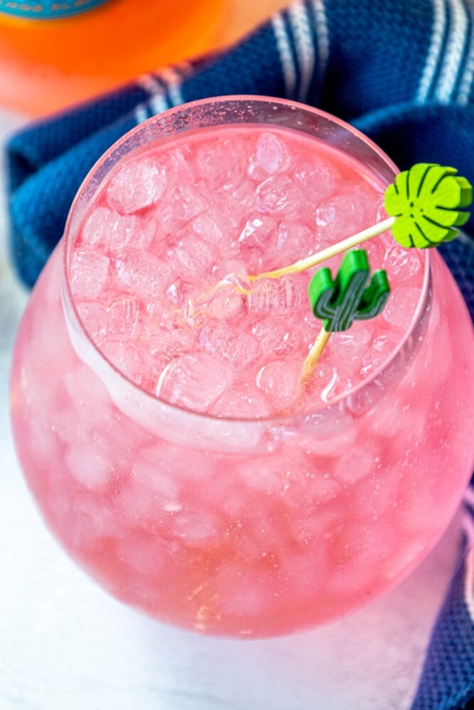 picture of pink gin and tonic in a large glass on a table with ice in it in front of a bottle of malfy con arancia gin