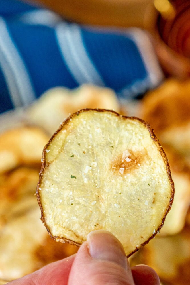 picture of air fried potato chips piled on a plate and seasoned with garlic salt