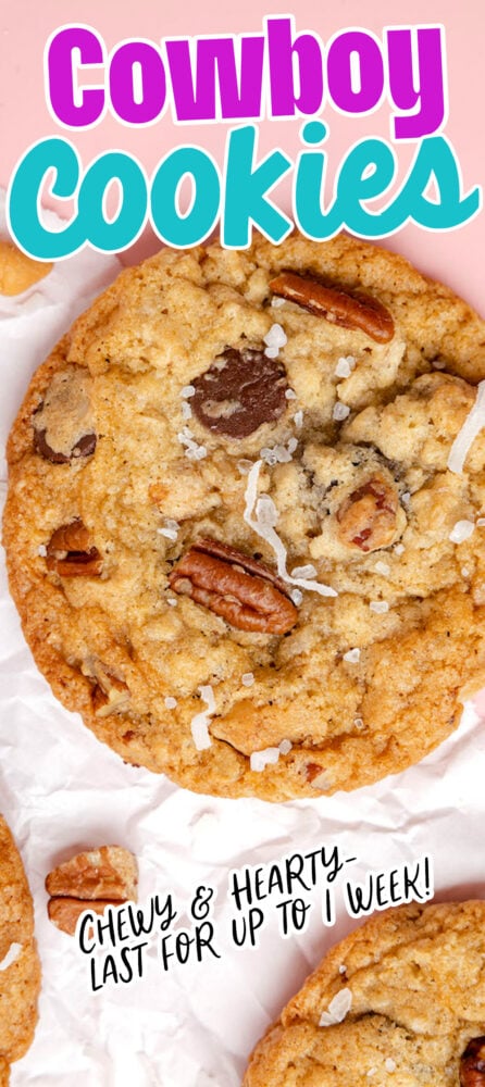 picture of a chocolate chip and oatmeal cookie with butterscotch chips, pecans, coconuts, and salt on top