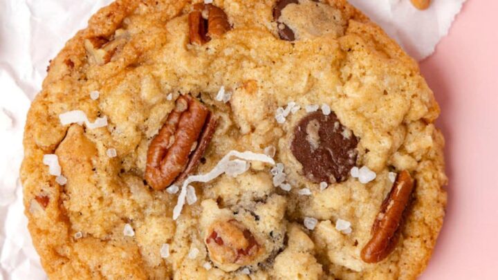 picture of a chocolate chip and oatmeal cookie with butterscotch chips, pecans, coconuts, and salt on top