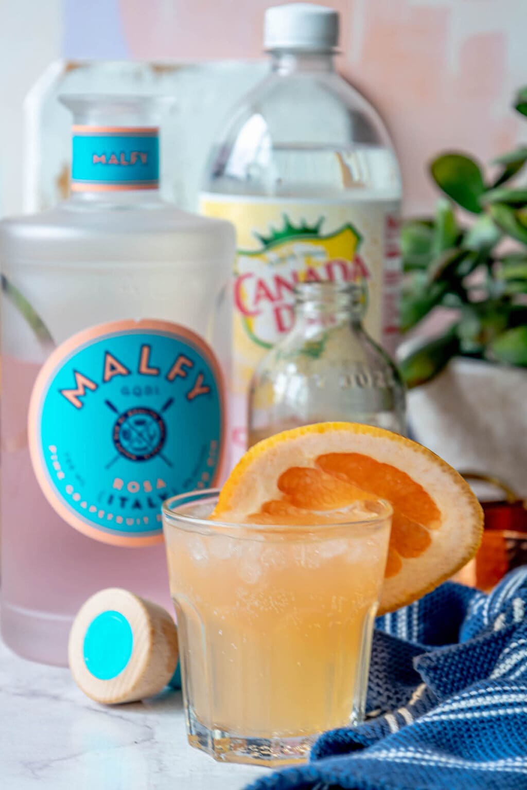 Grapefruit Gin Fizz - Sweet Cs Designs