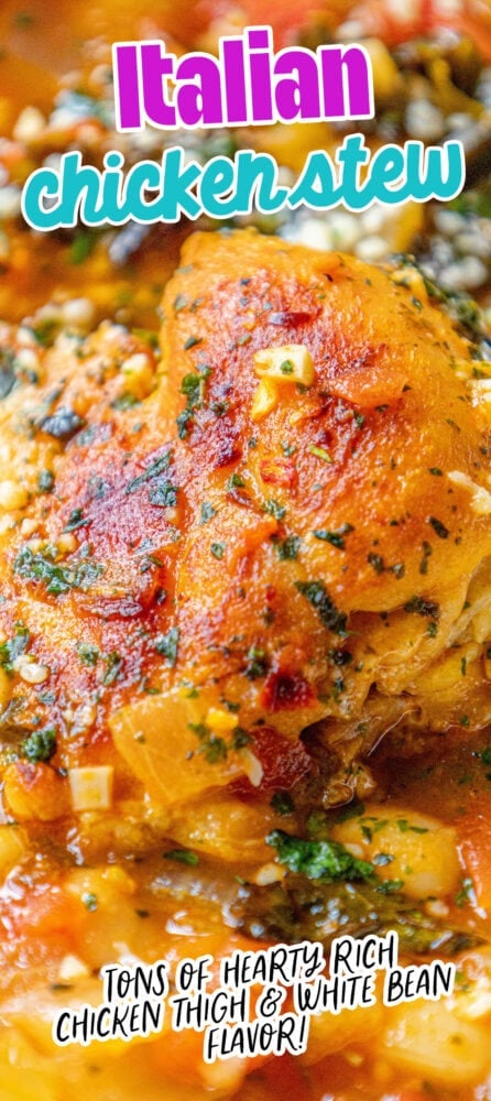 picture of chicken thigh in tomato stew with white beans, kale, herbs, and onions in a white bowl