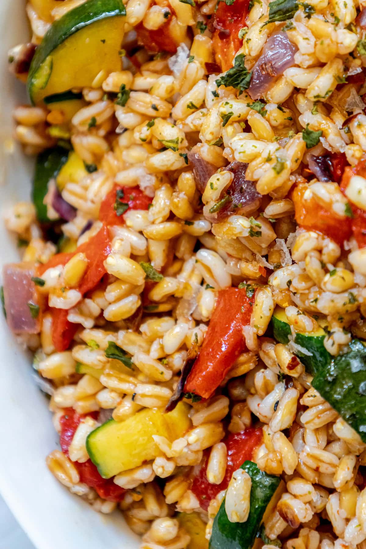 picture of farro salad in a white bowl with red peppers, zucchini, herbs, and shallots