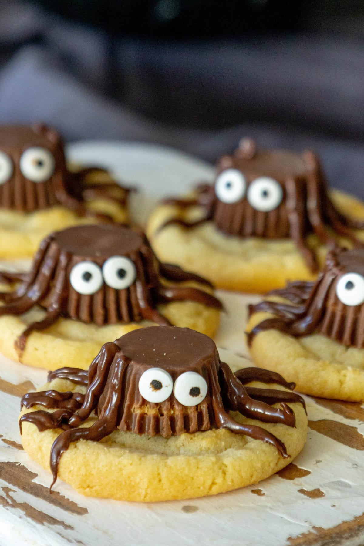 A group of spider-decorated cookies perfect for Halloween.