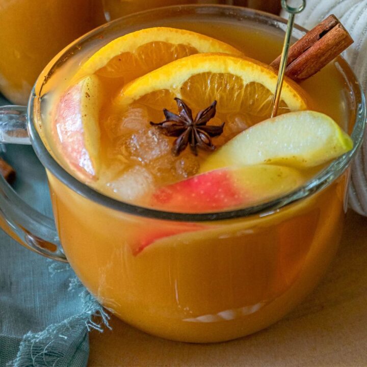 picture of pumpkin punch in a clear mug with ice, apples, oranges, cinnamon, anise in the mug