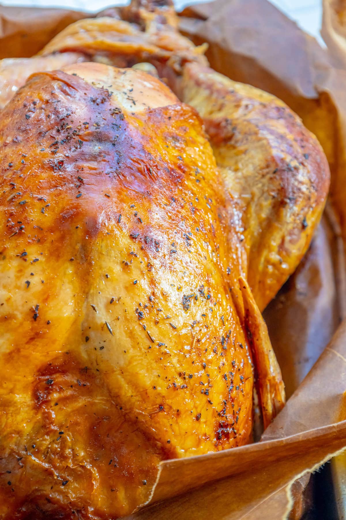 picture of a roasted turkey in a brown paper bag in a roasting pan 
