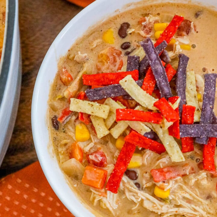 creamy chicken soup with beans, corn, rotel, and tortilla strips in a white bowl