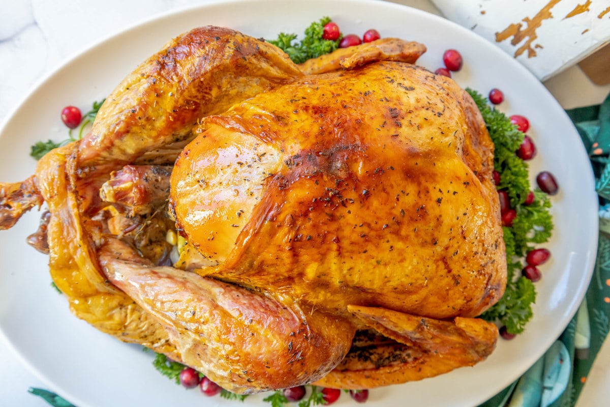 picture of a roasted turkey on a plate with kale and cranberries