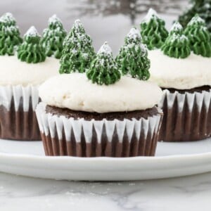 picture of mint chocolate cupcake with buttercream icing, powdered sugar snow, and buttercream piped trees on top on a plate