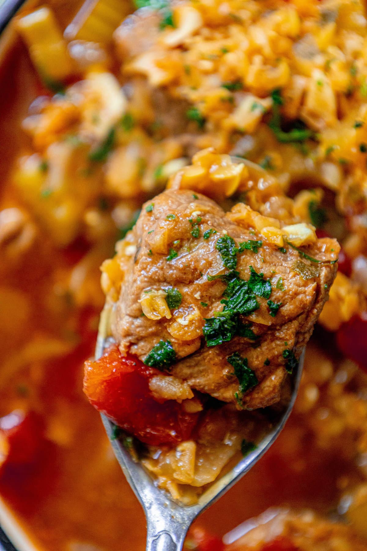 a piece of stew meat on a spoon, lentil and beef stew in a bowl in the background. 