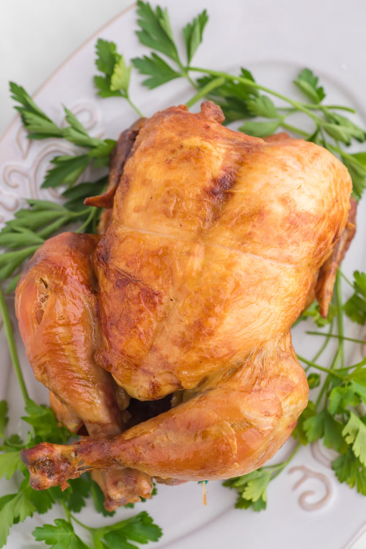 roasted chicken on a white plate with parsley