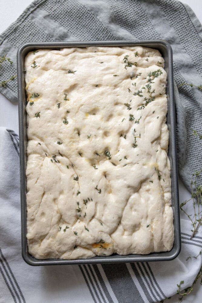 focaccia dough in a prepped bread pan with thyme sprinkled on top 