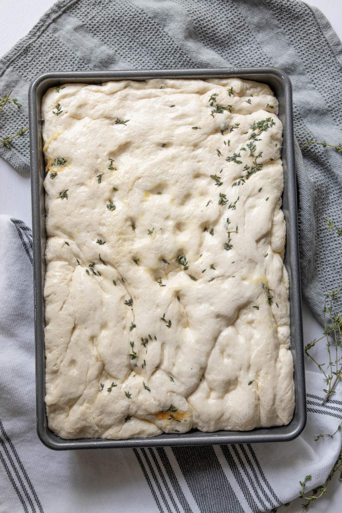A loaf of overnight garlic herb focaccia in a pan with thyme.