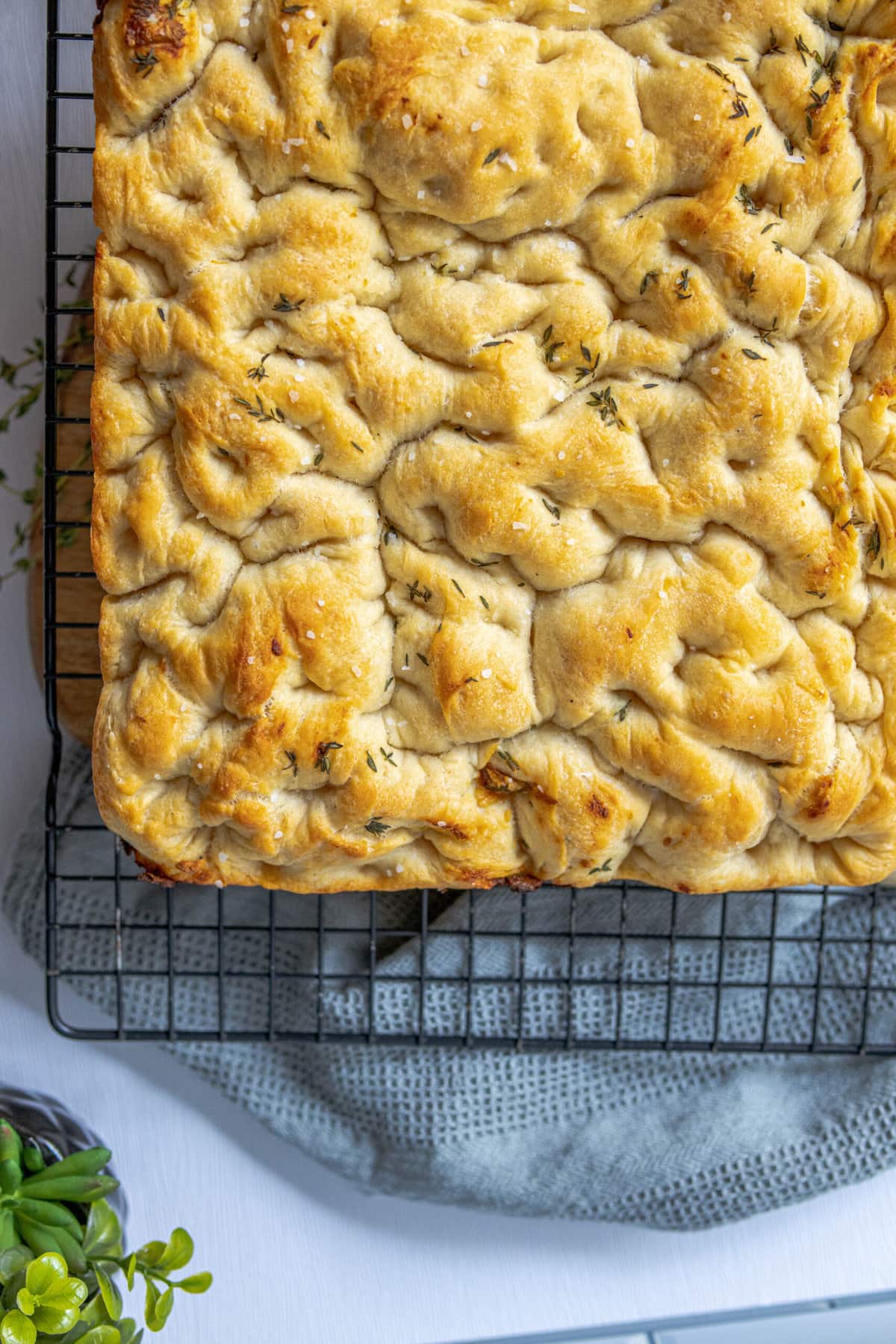 Easy Overnight Focaccia Bread with 25 Topping Ideas — Lauren Lane Culinarian