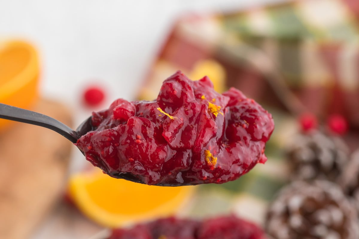 cranberry sauce with orange zest on a spoon