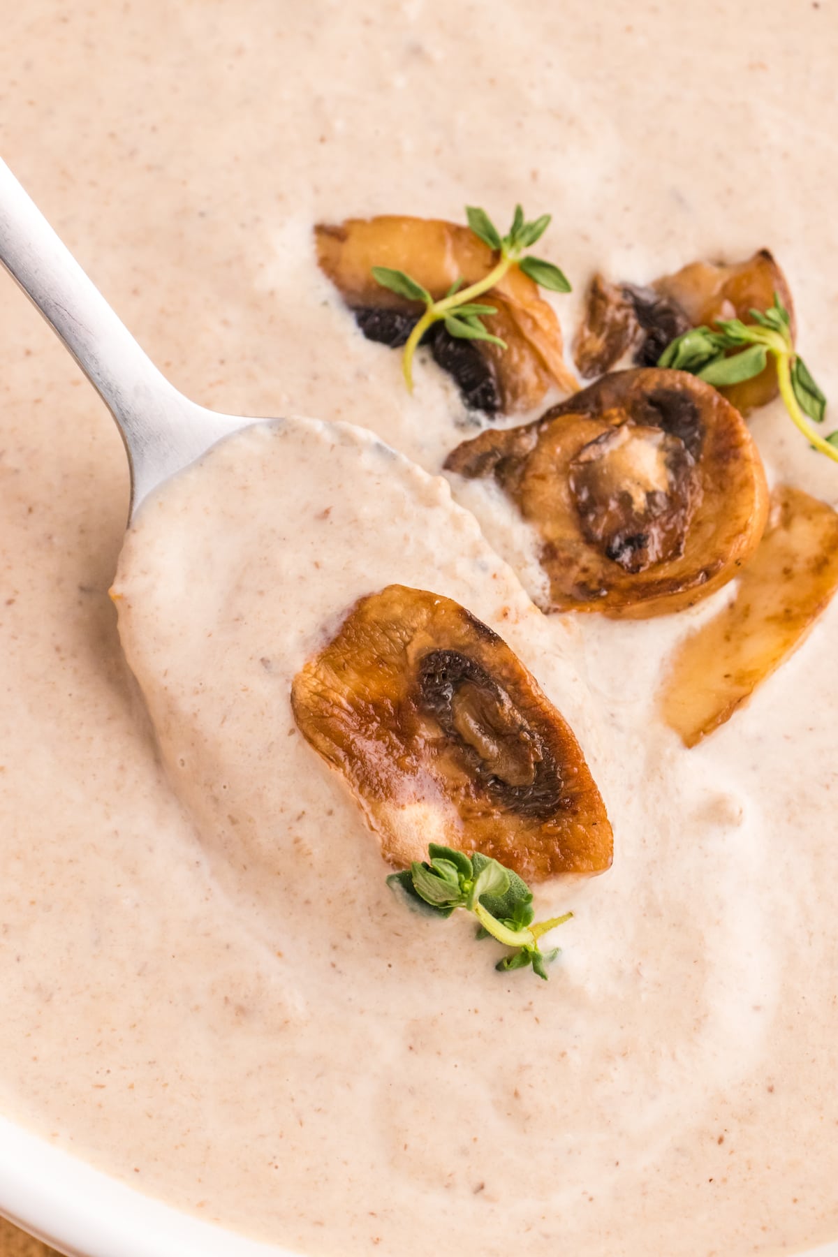a spoon with mushroom soup and roasted mushrooms on it