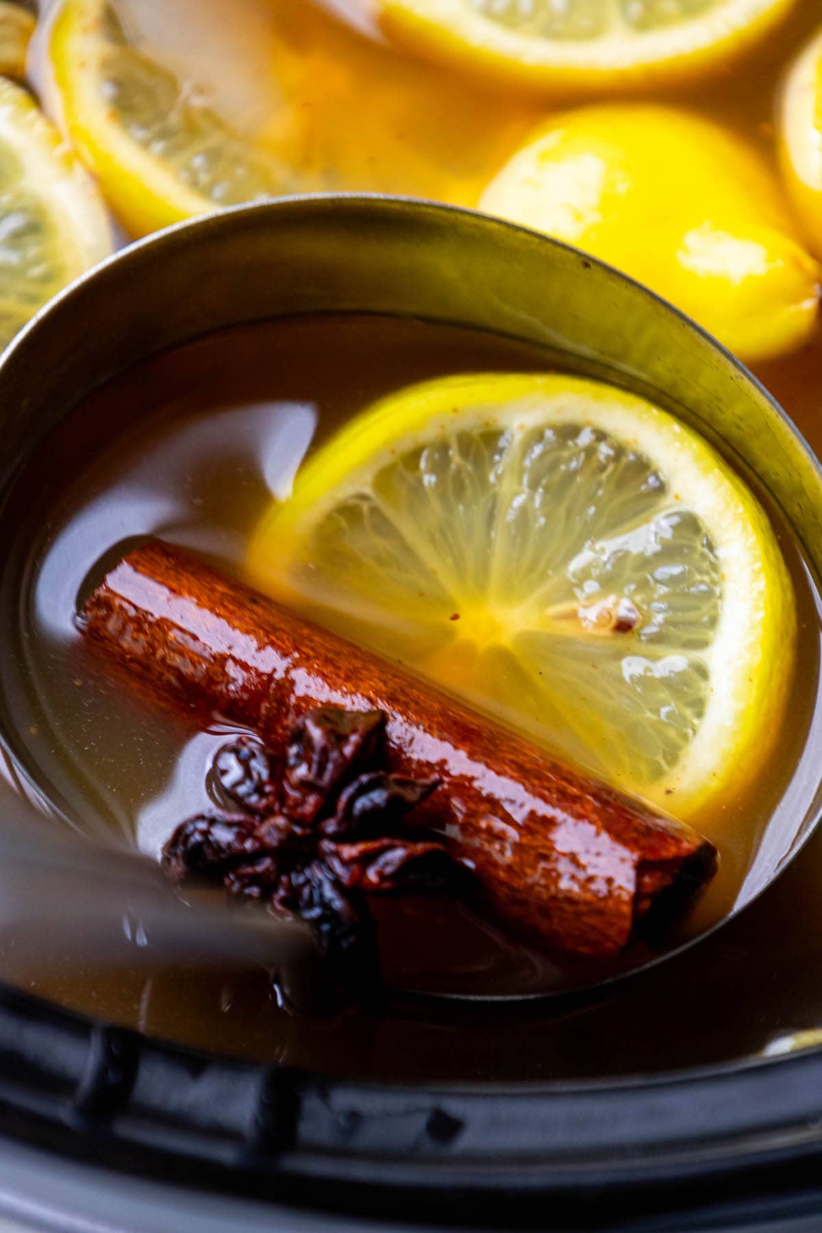 a ladle with cider, cinnamon sticks, star of anise, and cardamom pods