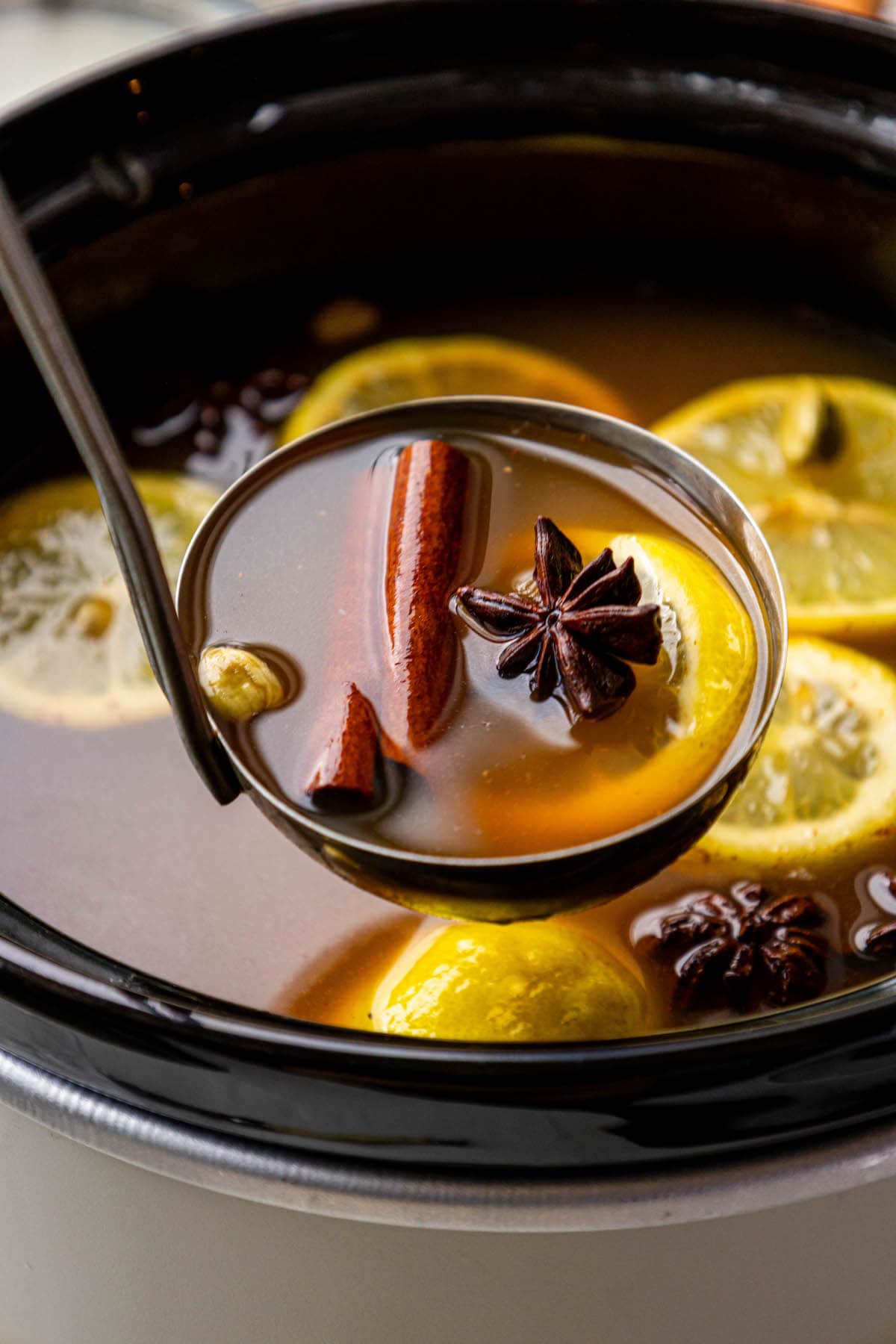 a ladle with cider, cinnamon sticks, star of anise, and cardamom pods