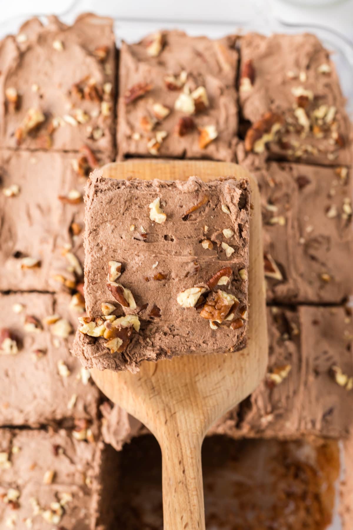 chocolate cake with chocolate icing topped with nuts on a spatula