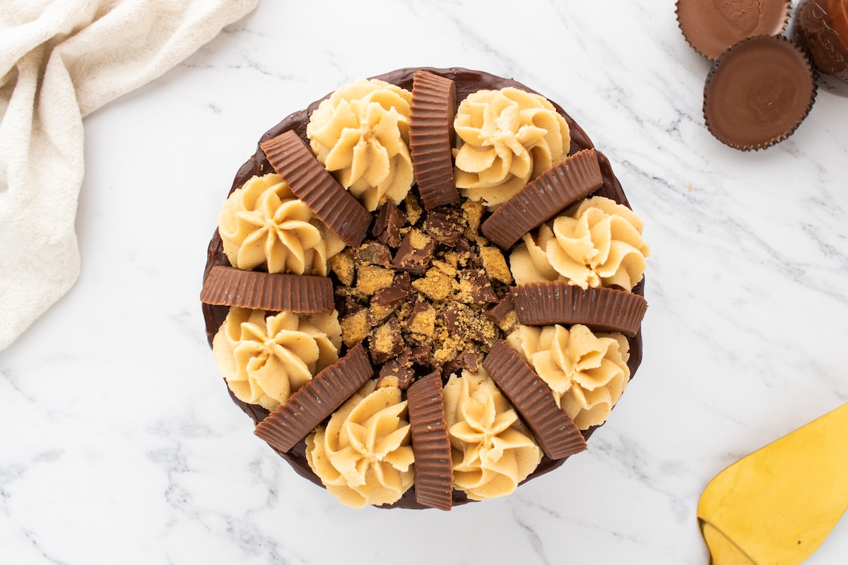 chocolate cake layered with ganache, peanut butter frosting, and peanut butter cups on top on a white plate
