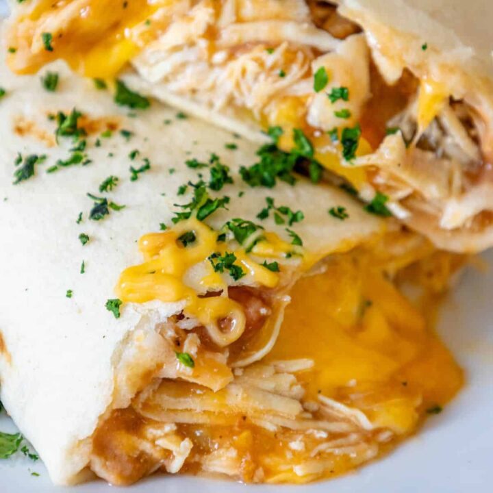 Cheesy chicken burrito on a white plate, baked.