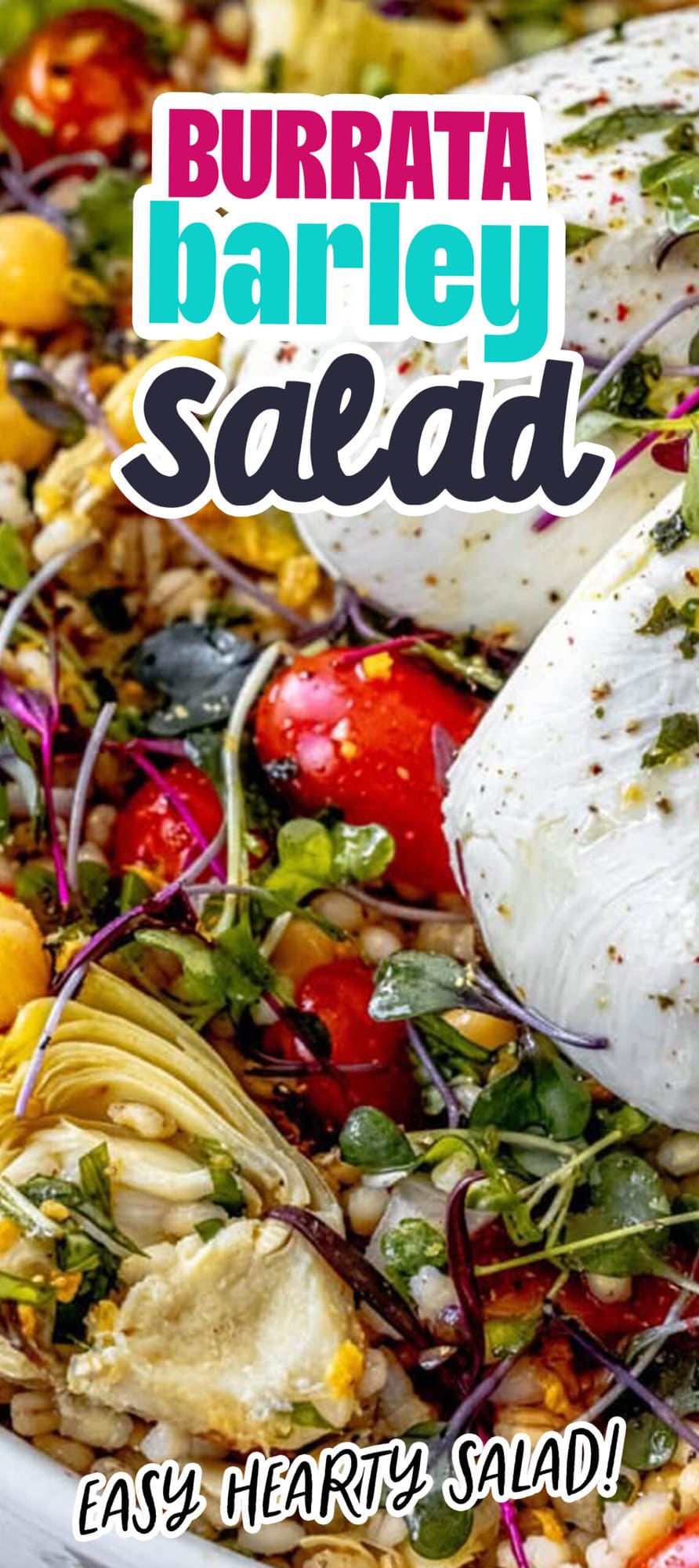 Mediterranean barley salad recipe featuring burrata.