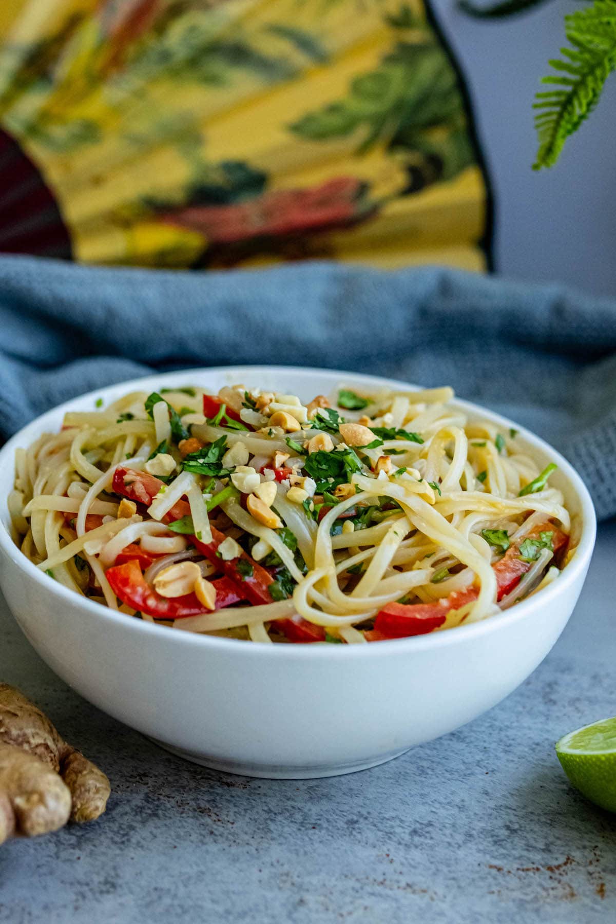 white bowl of noodles, peppers, and cilantro on it