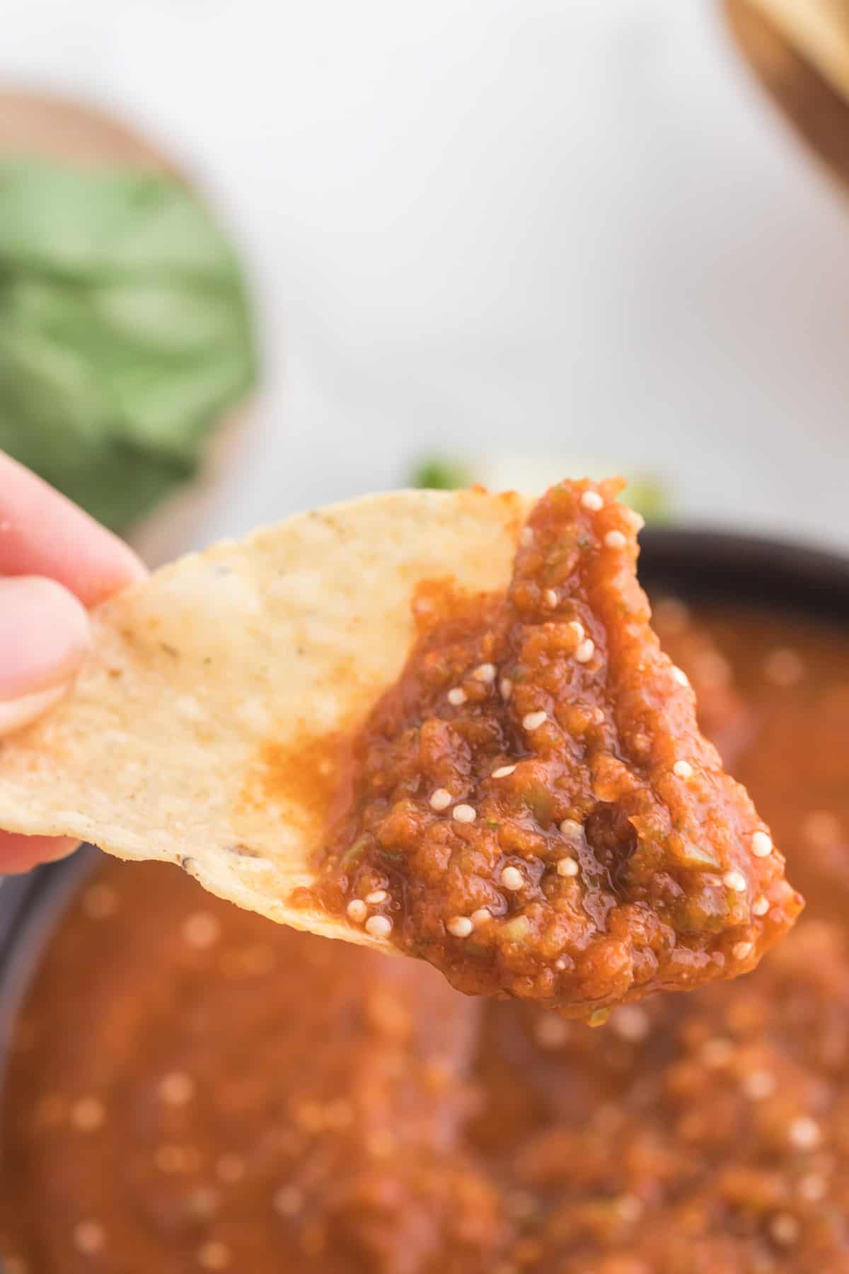 A person holding a tortilla chip in a Copycat Chipotle Red Salsa.