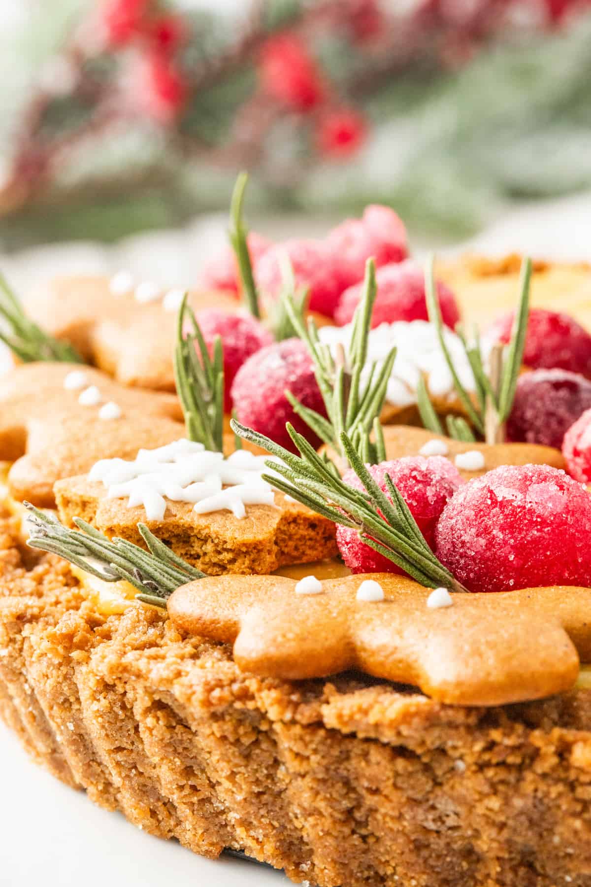 Keywords: Gingerbread Tart, Cranberries