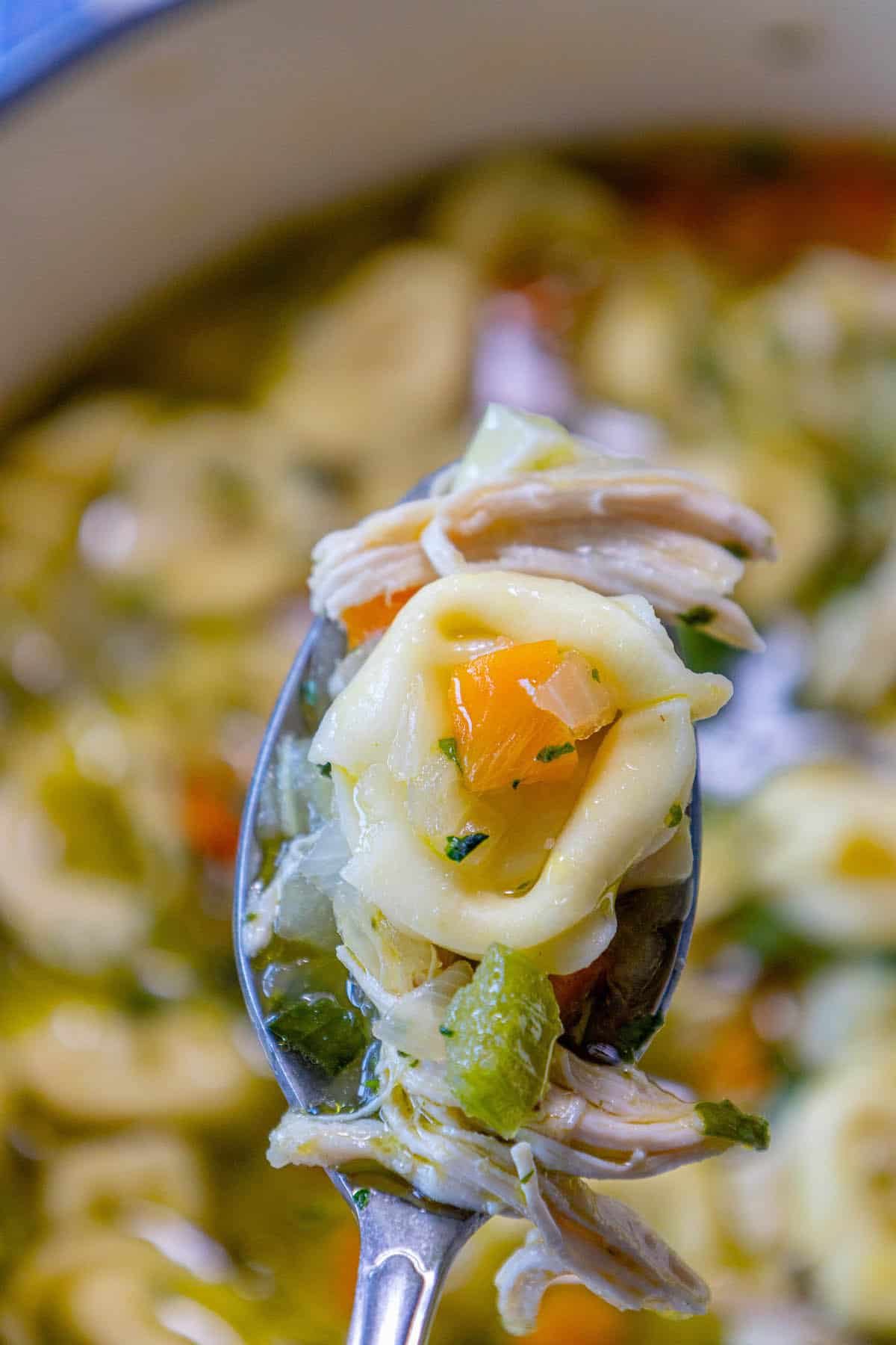 A spoonful of Lemon Chicken Tortellini Soup.