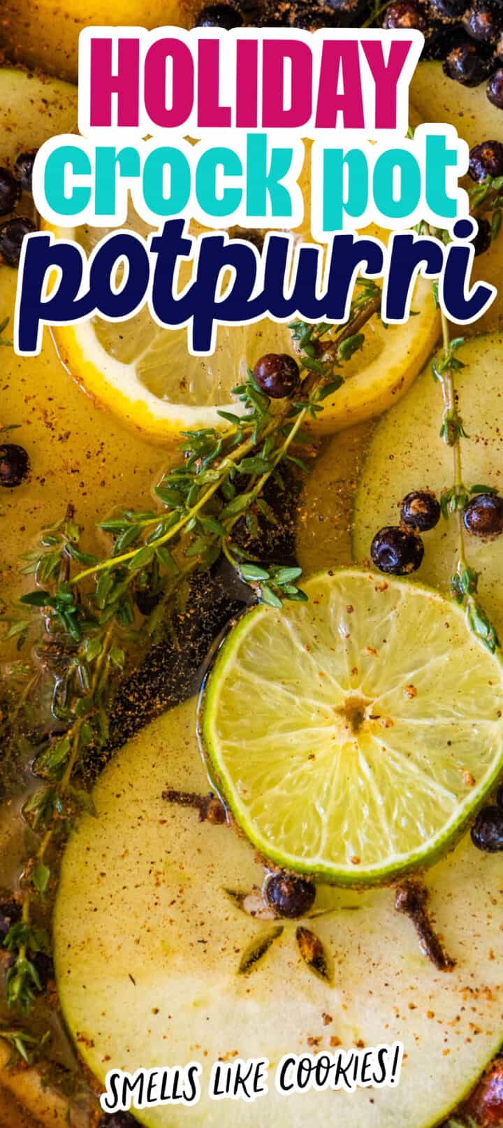 Crockpot Holiday Potpourri Sweet Cs Designs