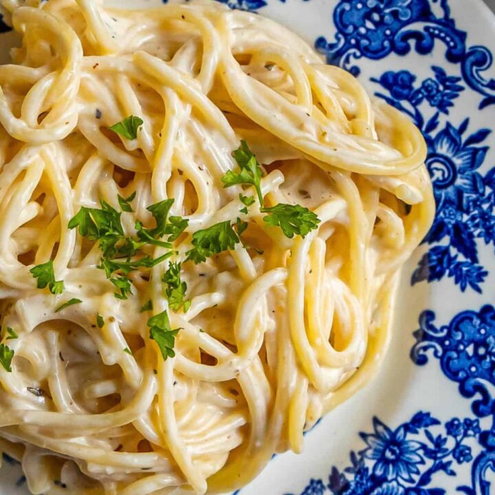 A plate of spaghetti with parmesan cheese and the best alfredo sauce on it.