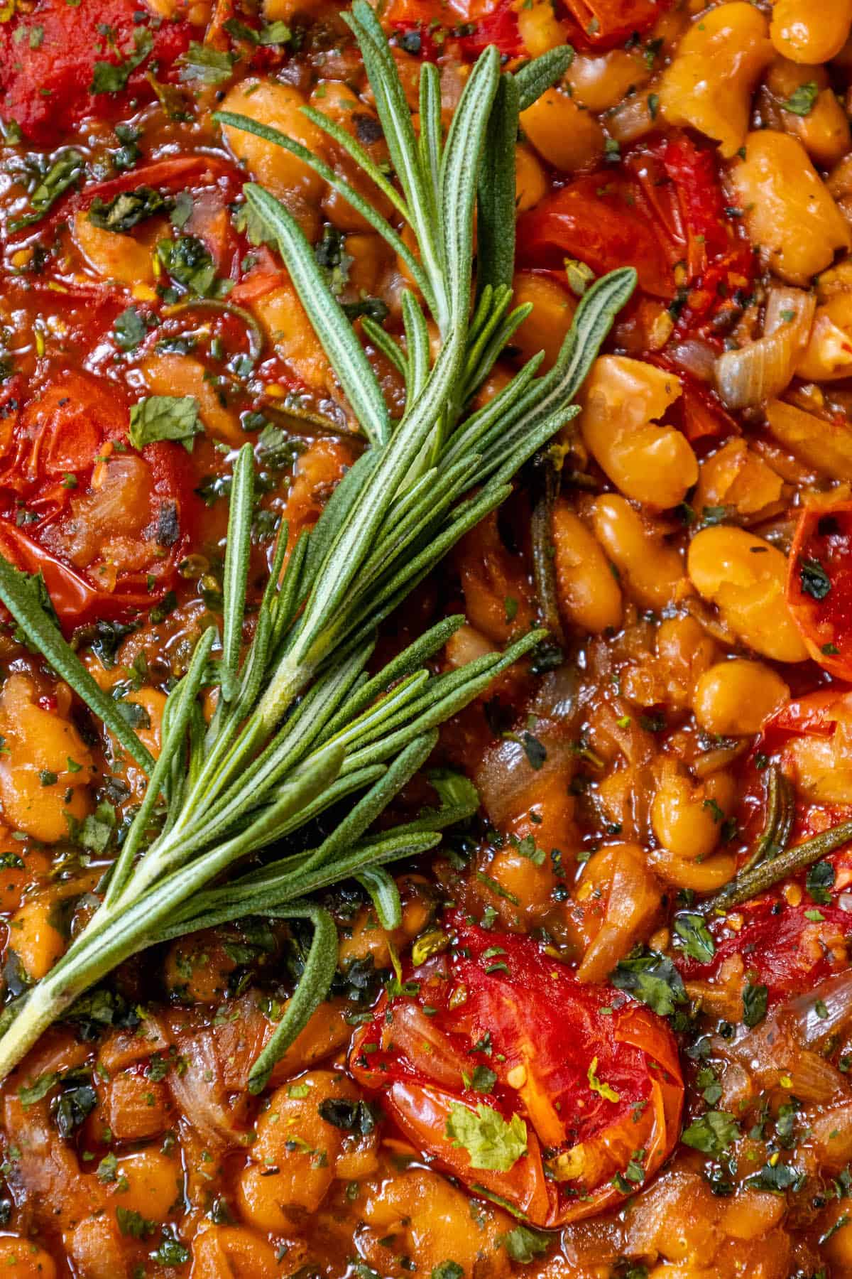 A dish of beans and tomatoes with a rosemary sprig, infused with important SEO keywords.