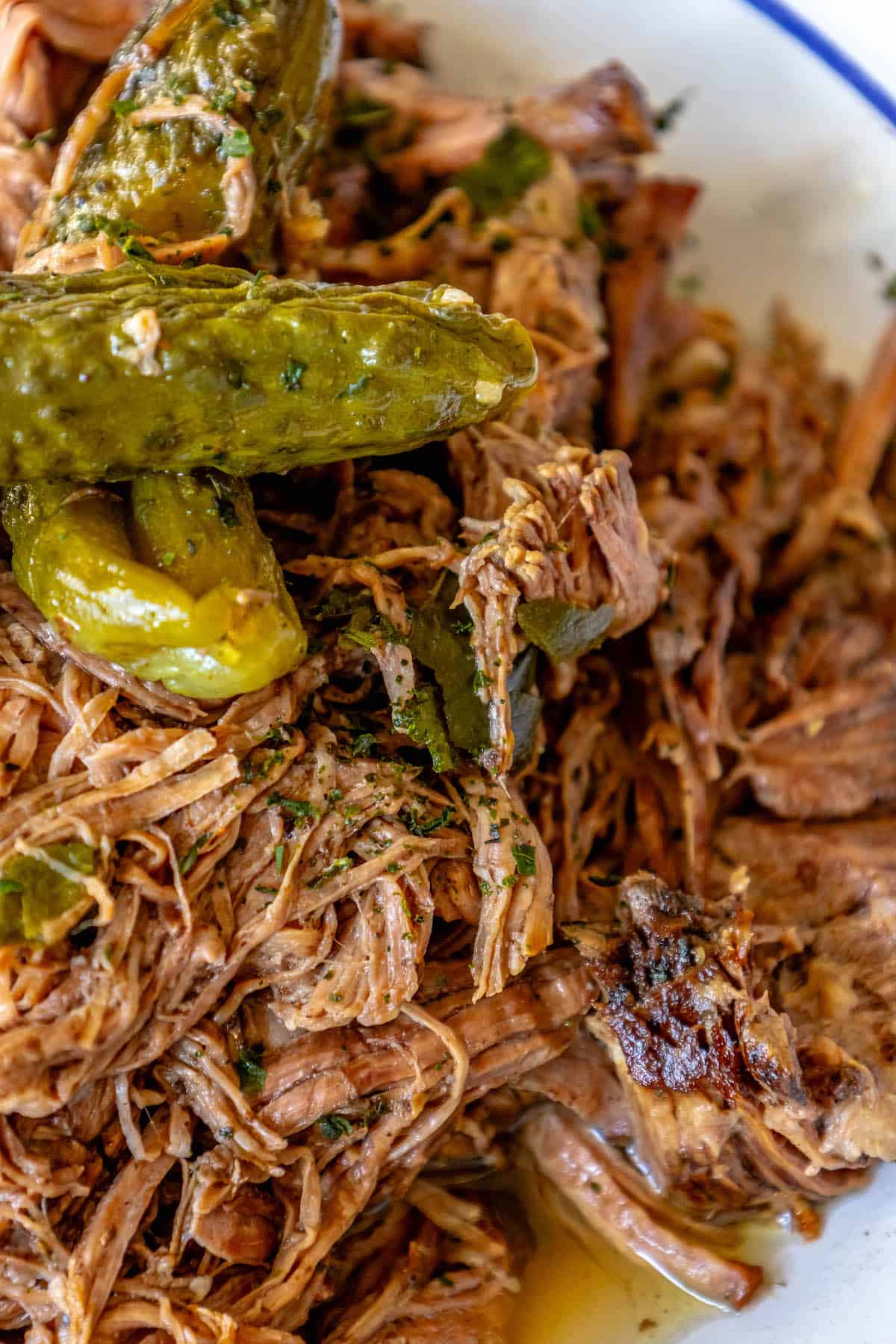 Pulled pork with pickles on a plate.