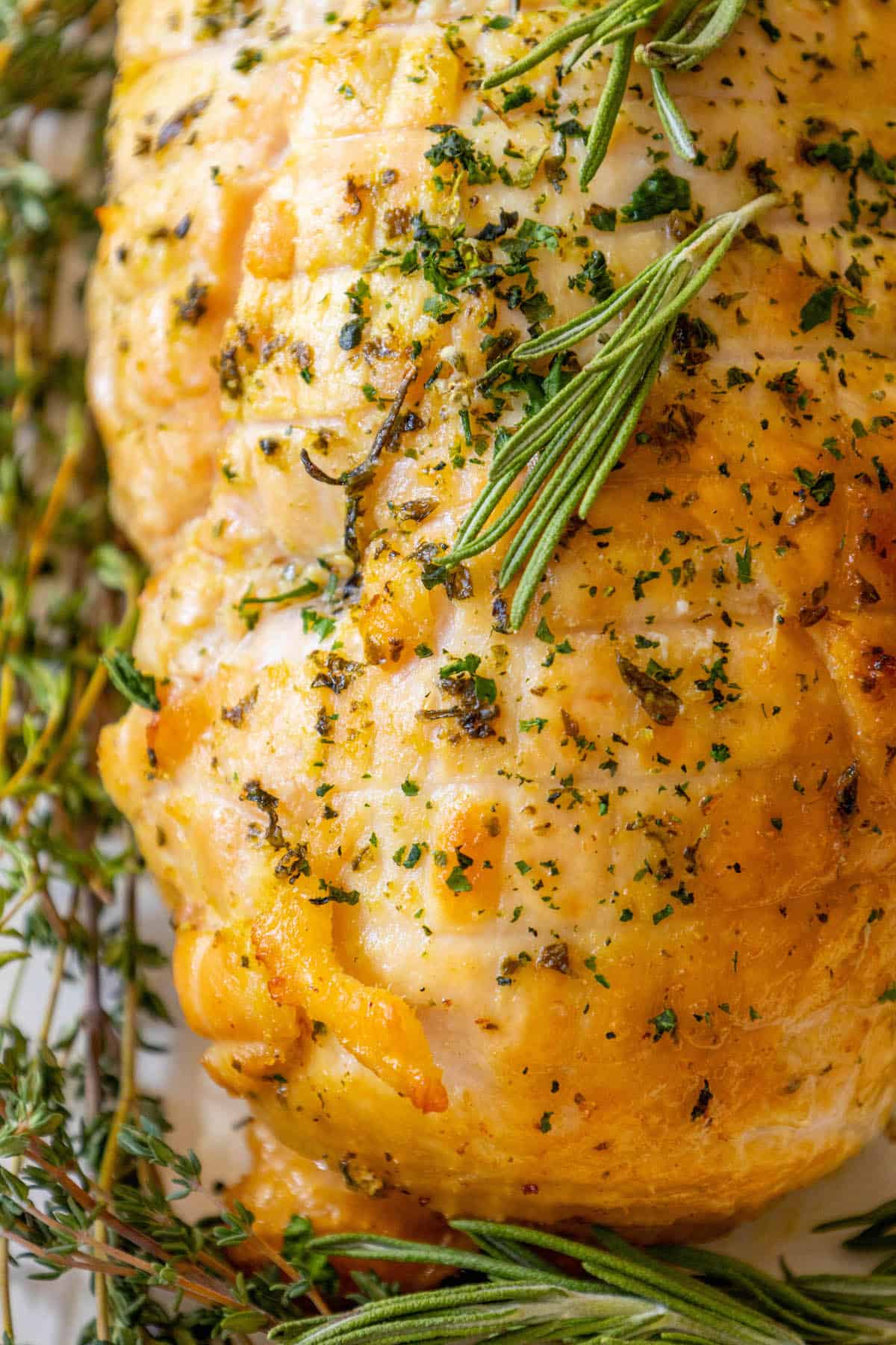 A roasted chicken on a plate with rosemary sprigs and an oven-baked turkey breast.