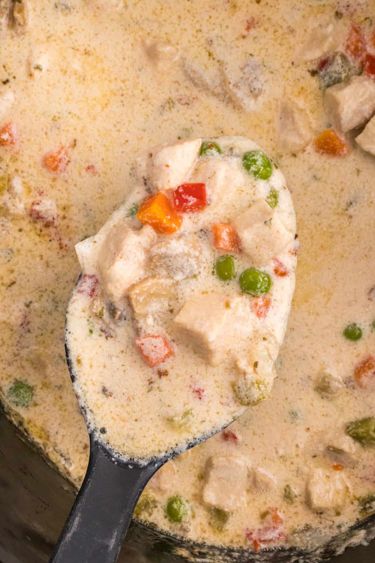A spoonful of chicken soup in a slow cooker.