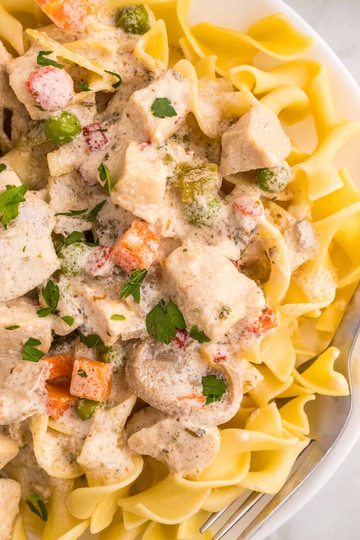 A slow cooker dish featuring tender chicken and freshly cut vegetables served over a bed of pasta.