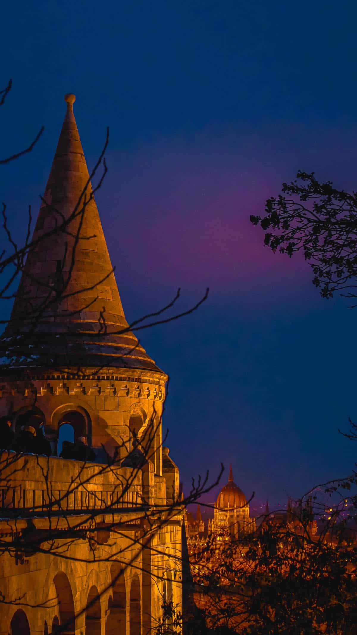 The Definitive Hungarian Goulash 19 Budapest Castle at night offers a stunning view of the cityscape, with the vibrant lights reflecting off its majestic walls, inviting visitors to immerse themselves in its rich history.
