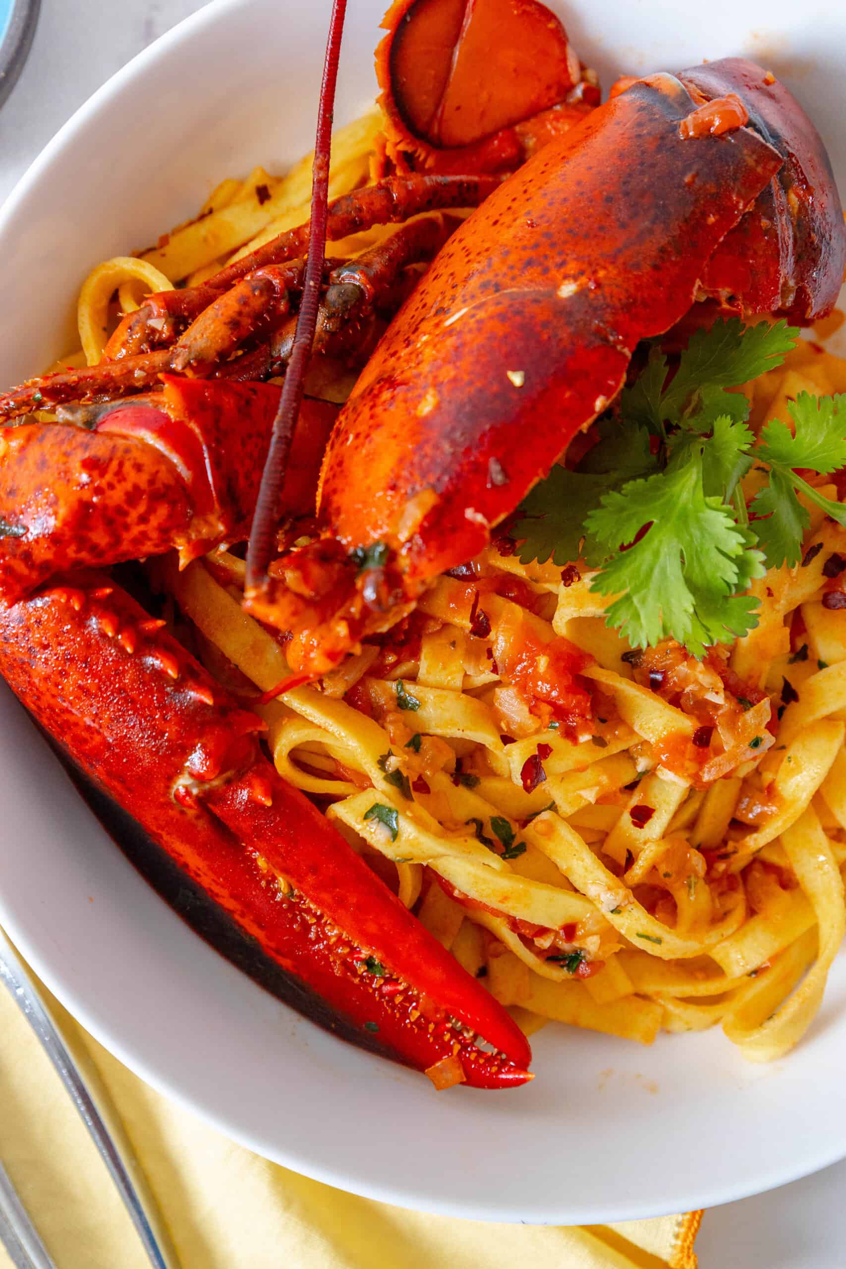 A delicious bowl of Busara Pasta, a Venetian specialty dish, made with succulent lobster.