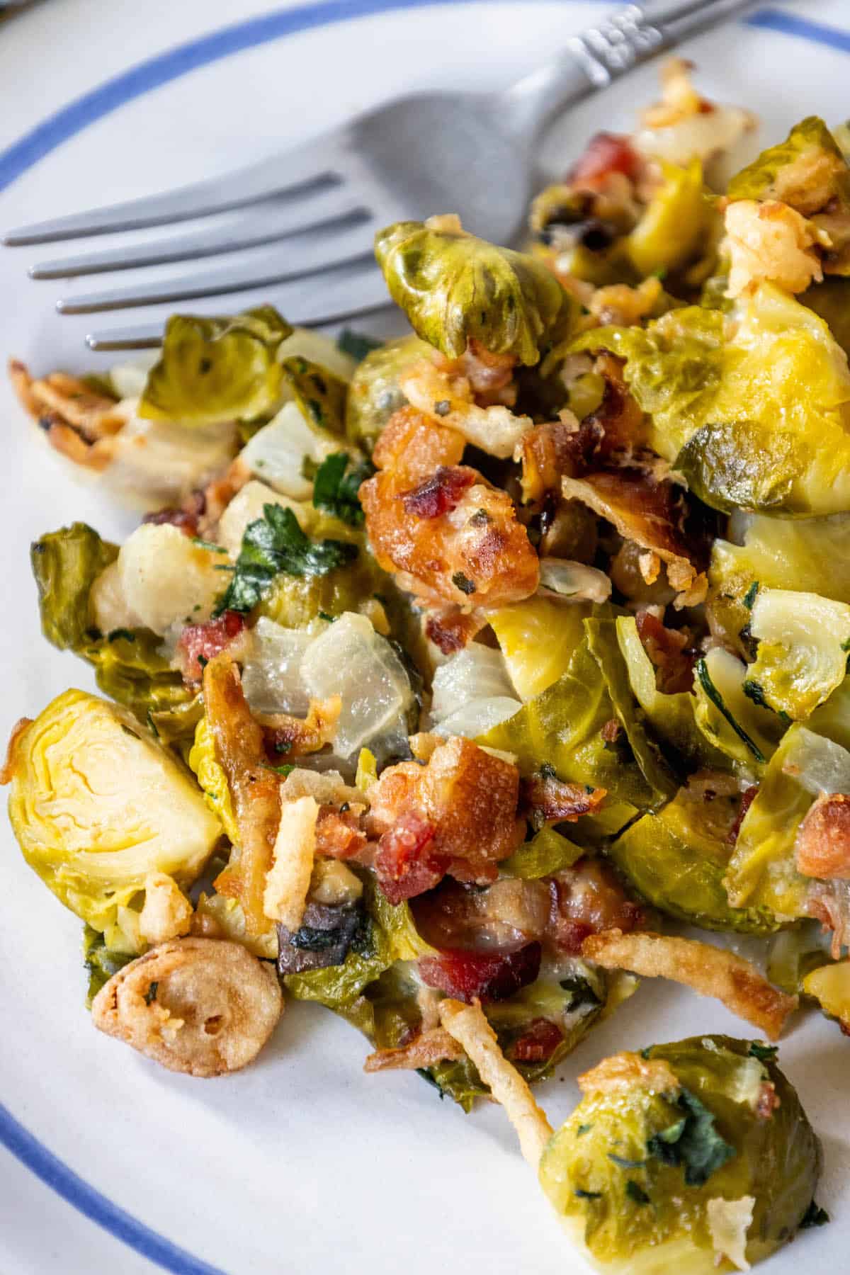 Creamy Brussels sprouts with bacon on a plate.