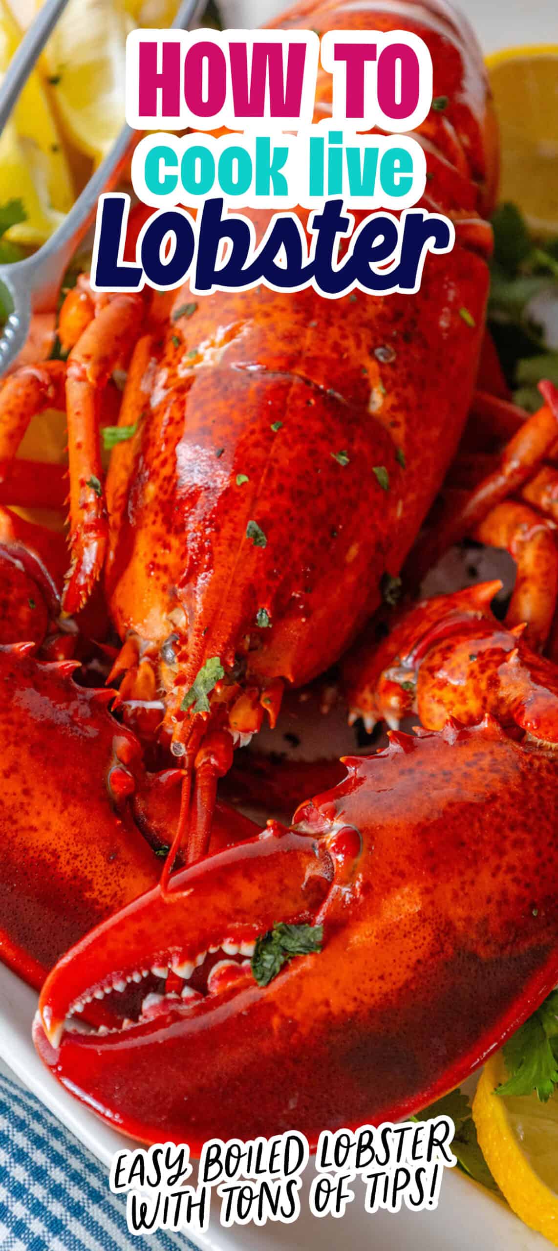 Learn the art of cooking a live lobster.