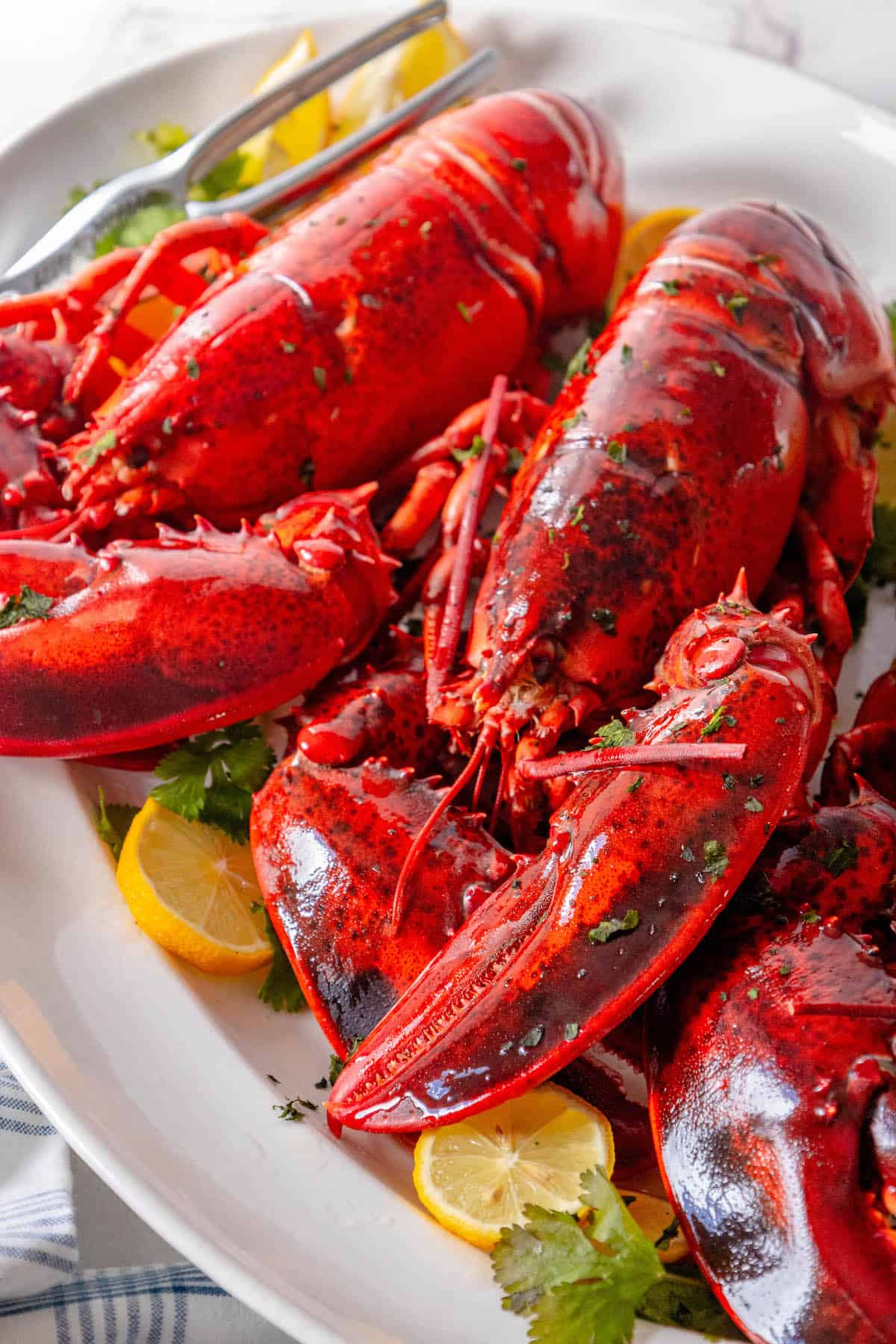 Keywords: lobster, lemon wedges
Description: Cooked lobsters beautifully arranged on a white plate, garnished with fresh lemon wedges.