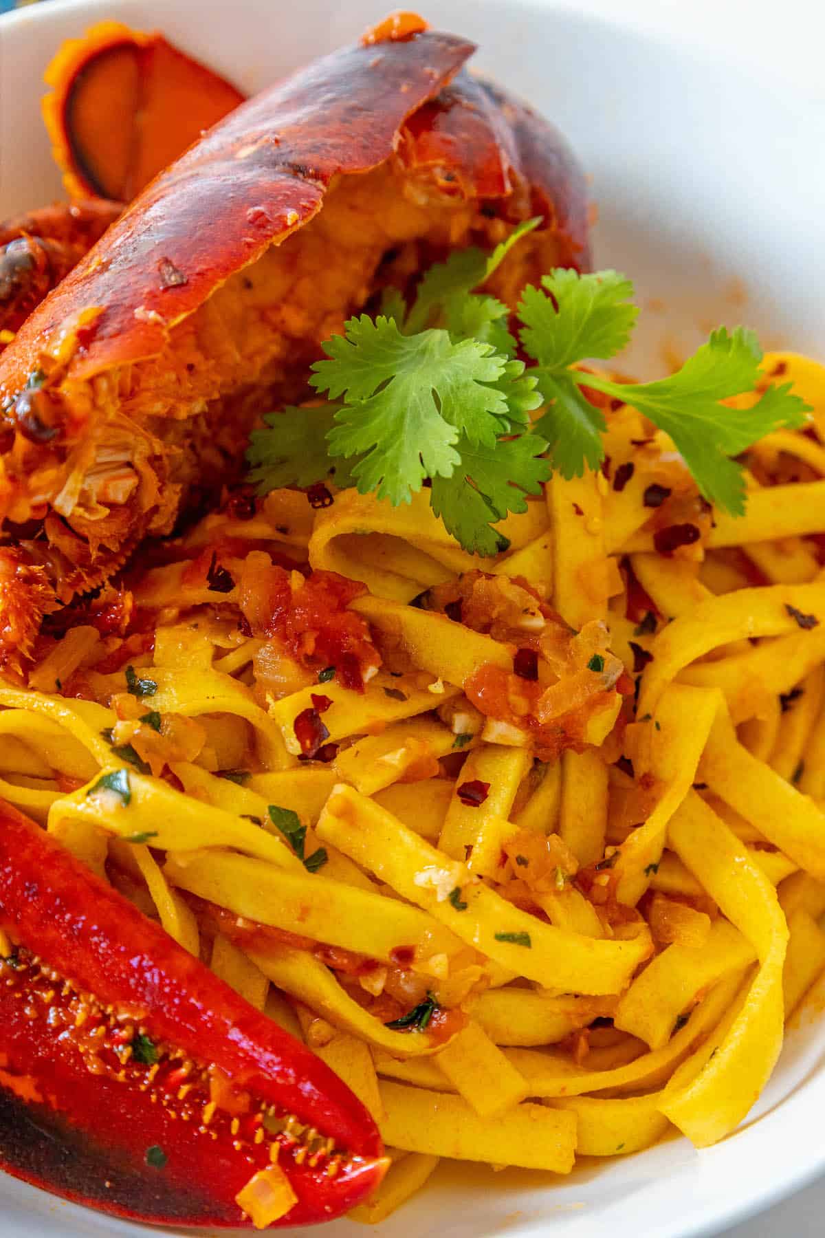 A bowl of Lobster Pasta Busara.