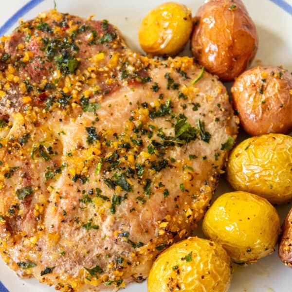 Pork chops and potatoes on a plate.
