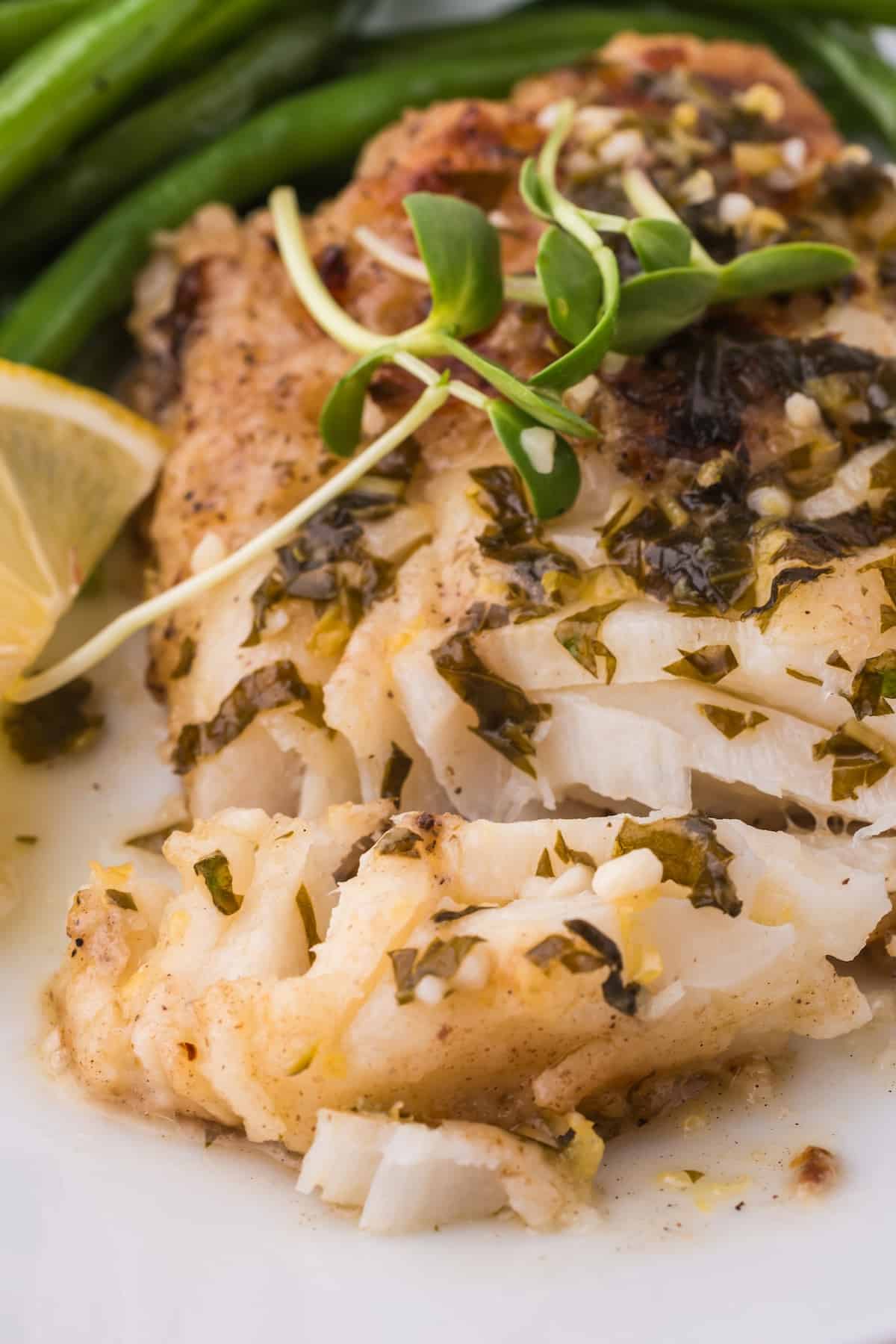 Pan fried cod fillet with lemon and herbs on a white plate.