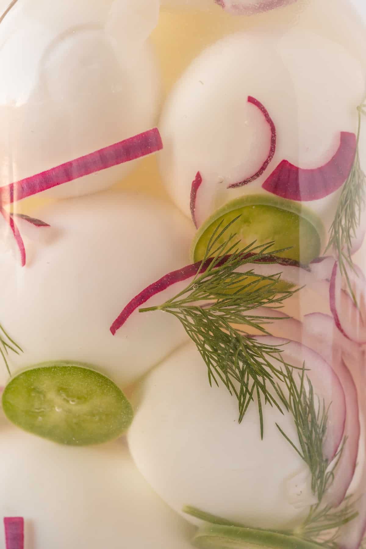 Pickled eggs in a jar with dill and chives.