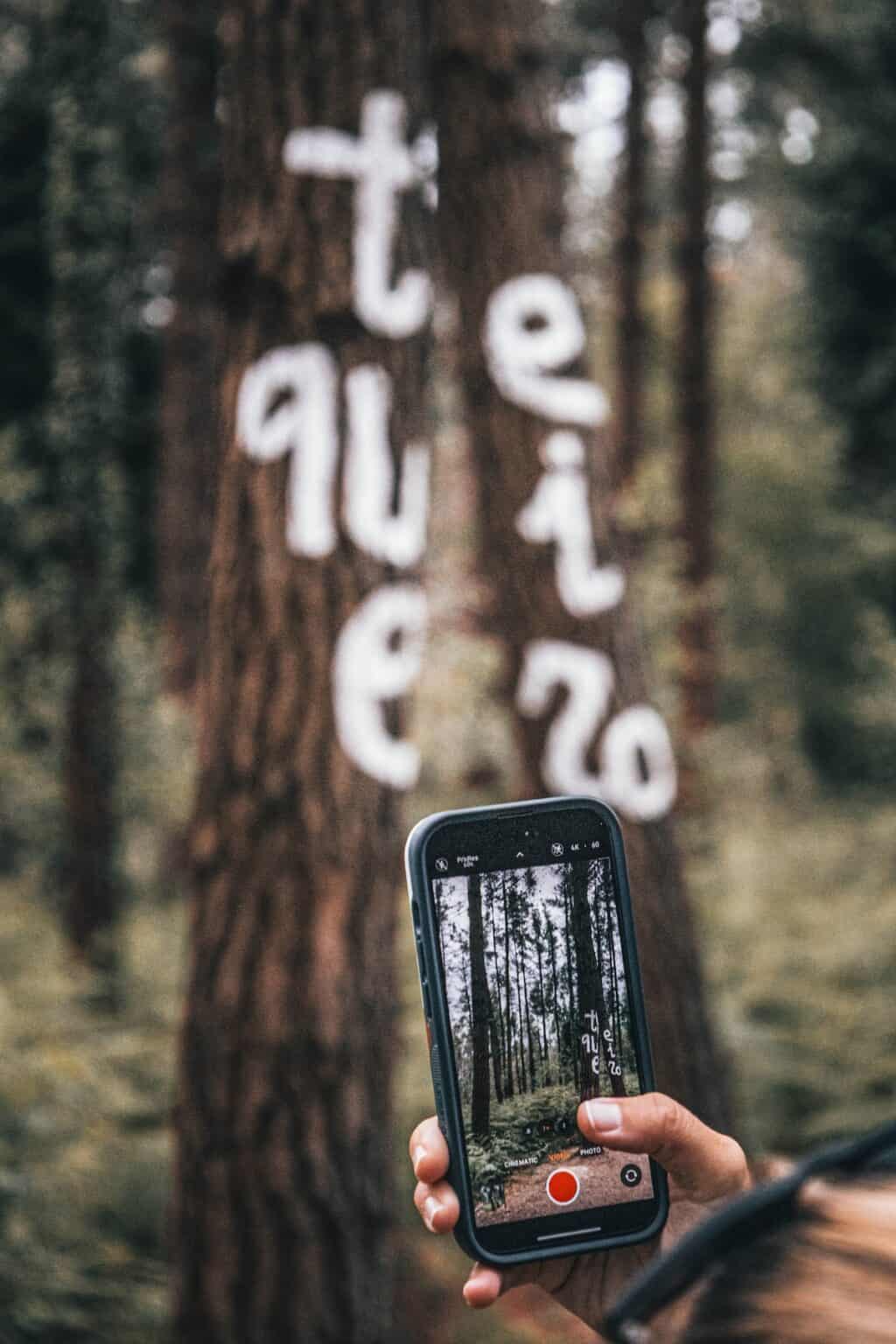 Visit Basque Country - Sweet Cs Designs