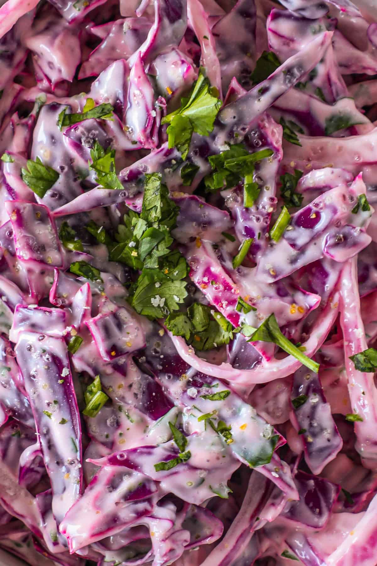 Close-up of a creamy cabbage salad with chopped cilantro sprinkled on top. The salad features red and white cabbage with a dressing visible throughout.