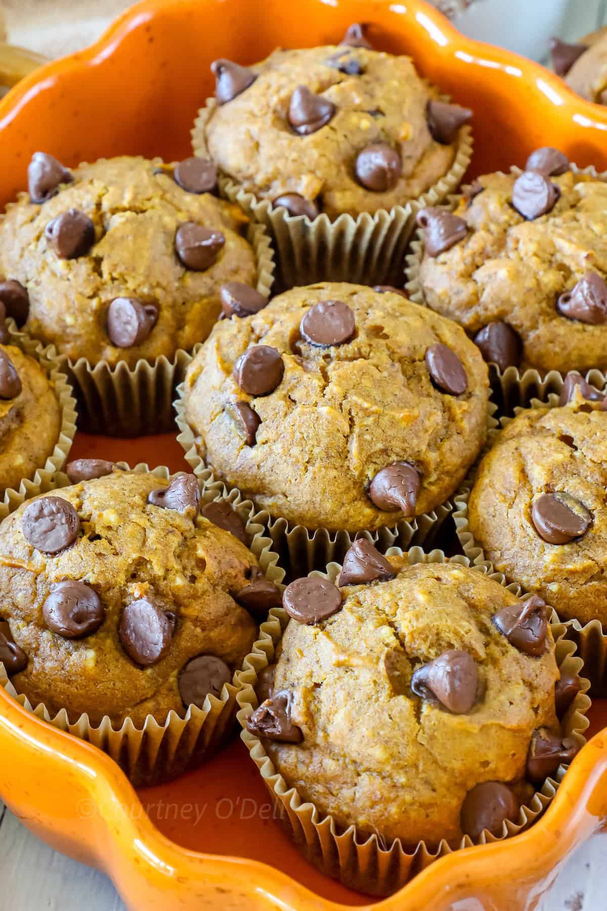 A close-up of a tray holding several chocolate chip muffins, each baked in a paper liner and topped with chocolate chips.