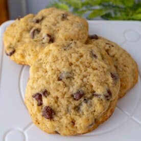 Three sourdough chocolate chip cookies are arranged on a white plate, with a leafy green plant in the background.